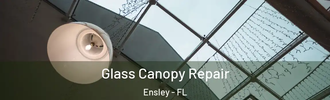 Glass Canopy Repair Ensley - FL