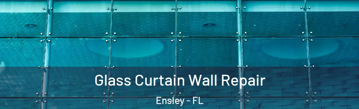 Glass Curtain Wall Repair Ensley - FL