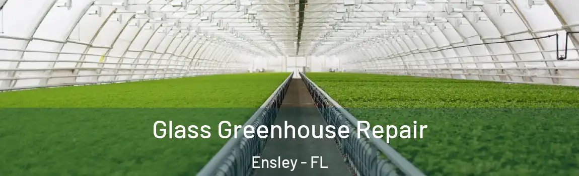 Glass Greenhouse Repair Ensley - FL