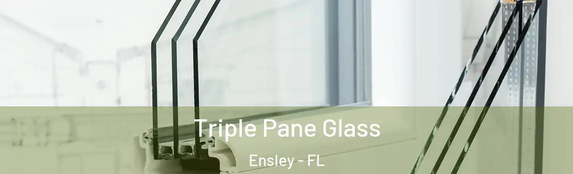 Triple Pane Glass Ensley - FL