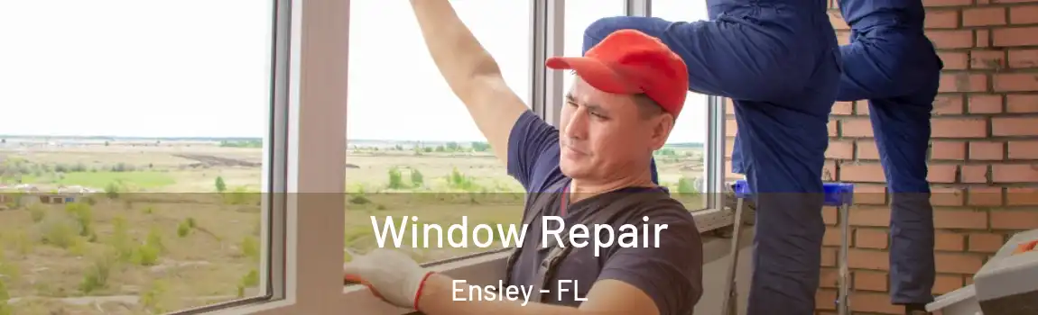 Window Repair Ensley - FL