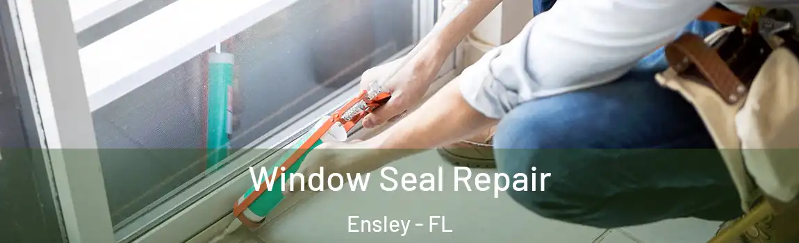 Window Seal Repair Ensley - FL